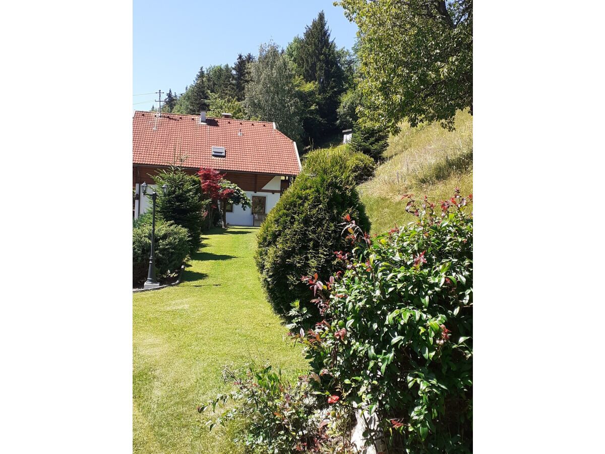 Holiday apartment Traumhaft - Outdoor photo 3