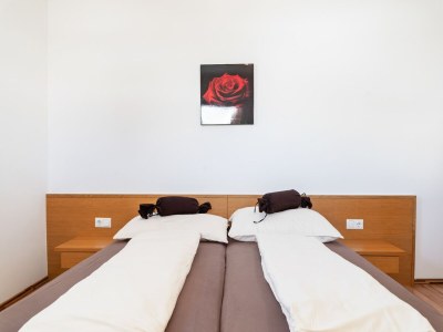 Apartment Apartment in Saalfelden near Ski Slopes - Features photo 23
