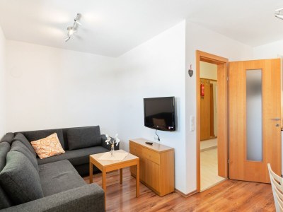 Apartment Apartment in Saalfelden near Ski Slopes - Features photo 24