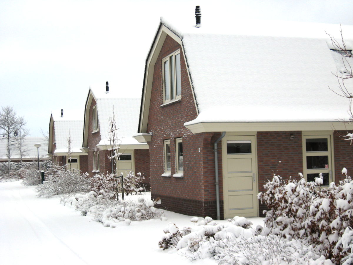 Holiday house Duinrust 1 - Outdoor photo 5