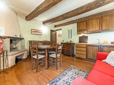 Holiday house Apartment with swimming pool near the forest - Features photo 26
