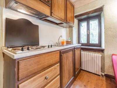 Holiday house Apartment with swimming pool near the forest - Features photo 27