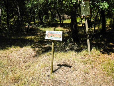 Holiday house Wohnung in Castiglione am Trasimenischen See - Environment photo 24
