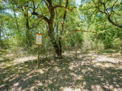 Holiday house Wohnung in Castiglione am Trasimenischen See - Environment photo 25