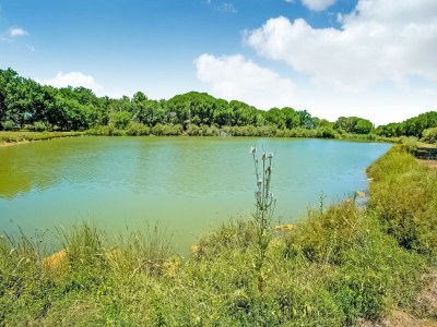 Holiday house Apartment in Castiglione near Lake Trasimeno - Environment photo 28