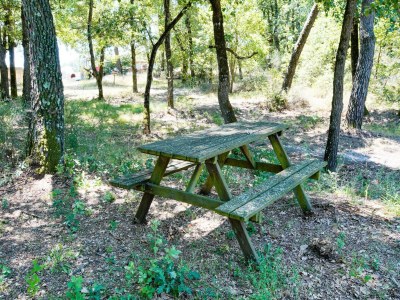 Holiday house Apartment in Castiglione near Lake Trasimeno - Outdoor photo 13