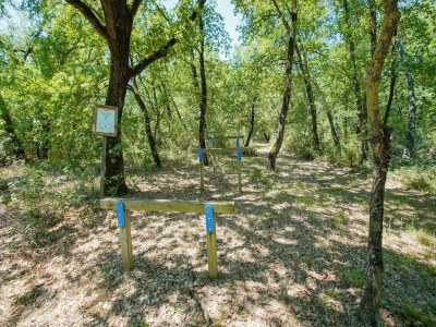 Holiday house Wohnung in Castiglione am Trasimeno-See - Outdoor photo 6
