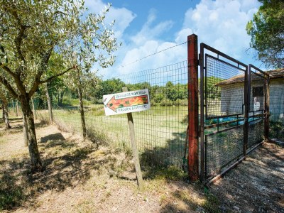 Holiday house Wohnung in Castiglione am Trasimeno-See - Environment photo 29