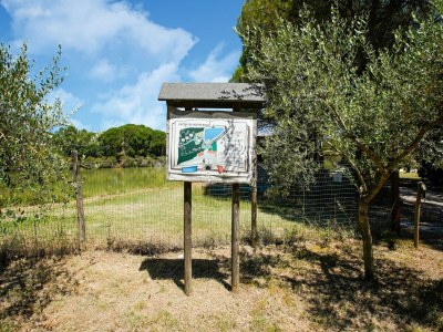 Holiday house Wohnung in Castiglione am Trasimeno-See - Environment photo 30