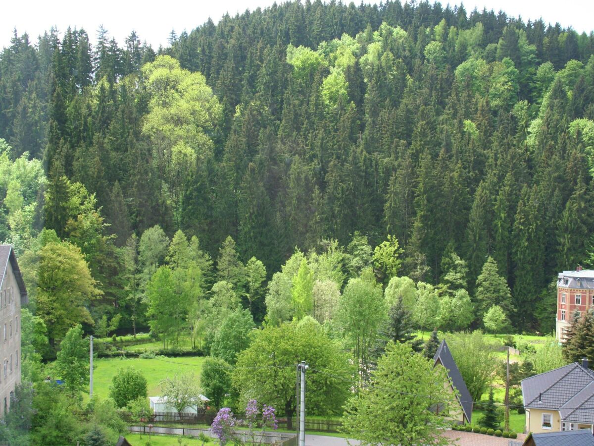 Villa Wohnung mit großer Gemeinschaftsterrasse - Outdoor photo 5