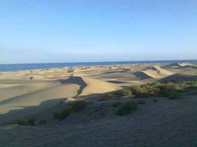Bungalow Dunaflor - Maspalomas - Environment photo 37