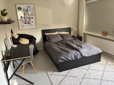 Holiday house Drie Dennen - Features photo 16