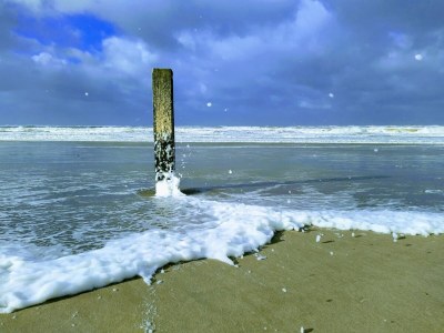 Holiday apartment Fokkemaat - Outdoor photo 28