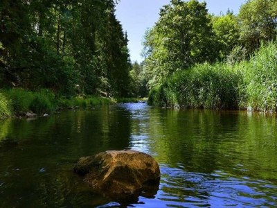 Villa Villa Rotschoenberg im Tal der Freiberger Mulde - Environment photo 34