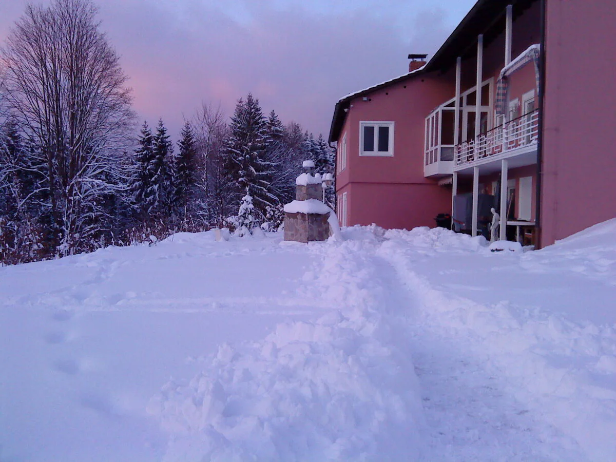 Holiday house Villa Grafenau