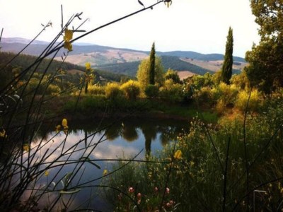 Apartment Cozy Stay with Scenic Views - Environment photo 33