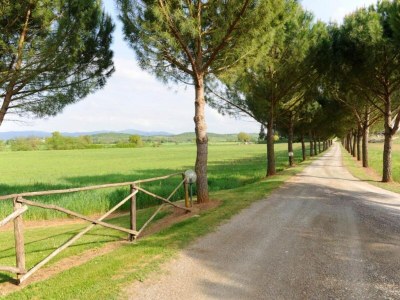 Apartment Tuscan Escape for Families - Environment photo 39