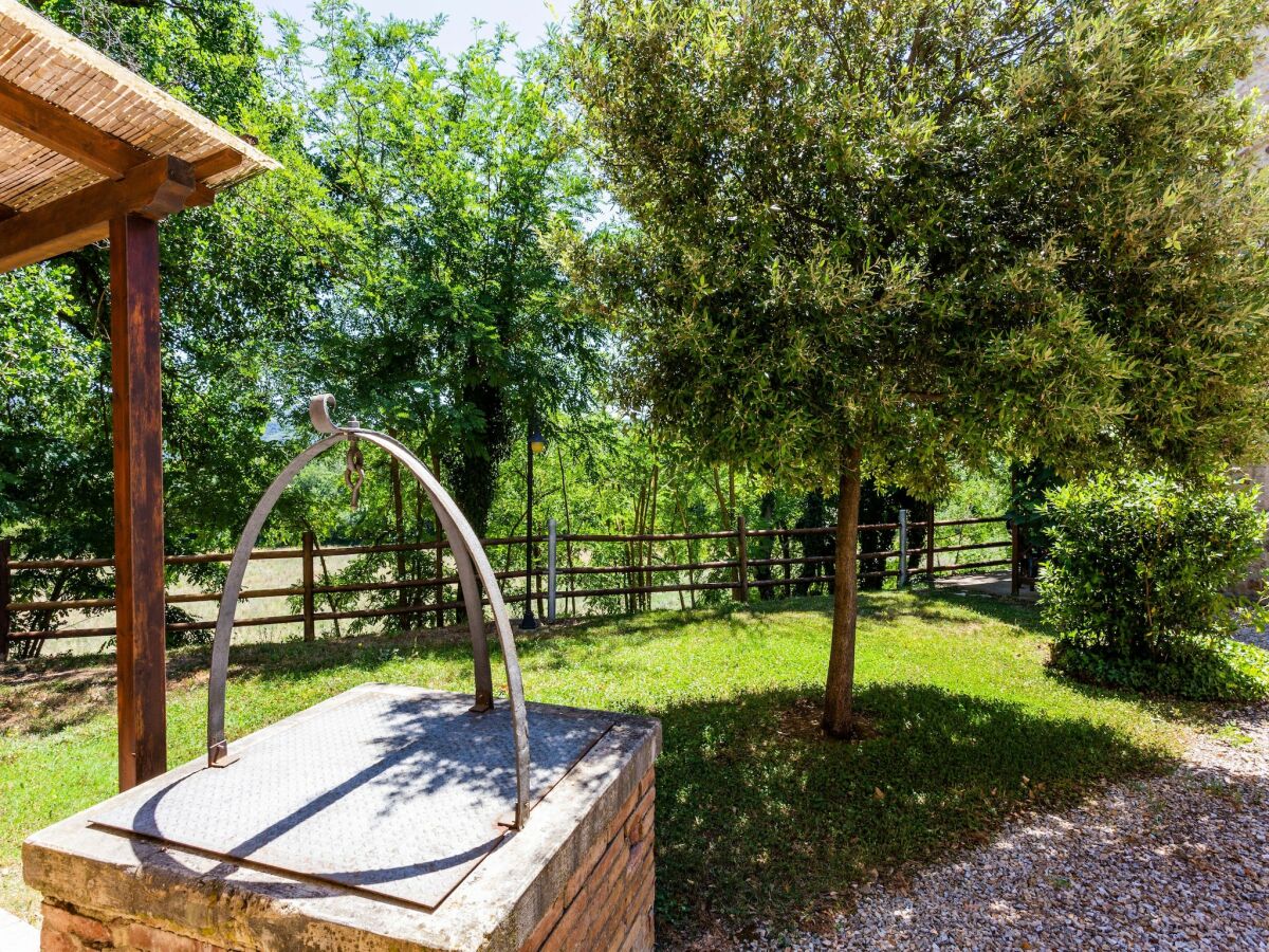Apartment Tuscan Countryside Stay - Outdoor photo 4