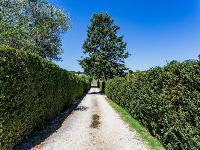 Apartment Tuscan Countryside Stay - Features photo 19