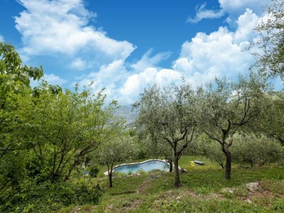 Holiday house Apartment in a CountryHouse with pool - Outdoor photo 13