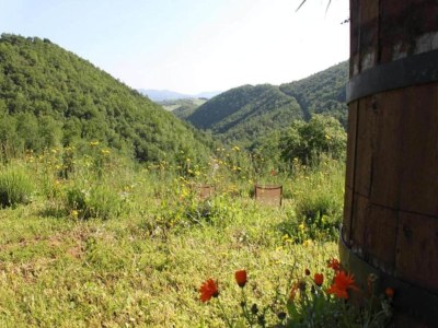 Holiday house Ferienhaus in Fano nahe Adria - Environment photo 35