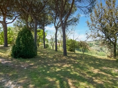 Holiday house Holiday home in Fano with garden - Outdoor photo 8