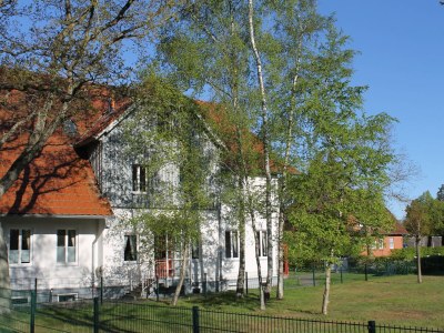 Apartment Aalkönig in Ostseebad Prerow - Apartment