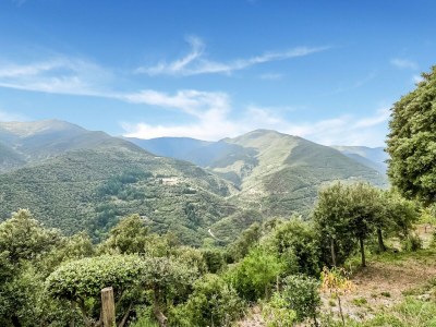 Holiday house Ferienhaus Montseny mit Pool - Outdoor photo 7