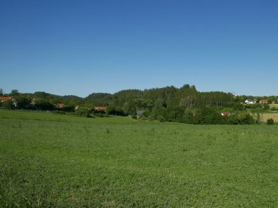 Holiday apartment Bodensee Fernweh Perle - Environment photo 34