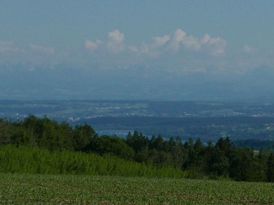 Holiday apartment Bodensee Fernweh Perle - Environment photo 36