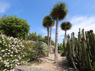Holiday house Finca Los Dragos in Playa San Juan - Outdoor photo 12