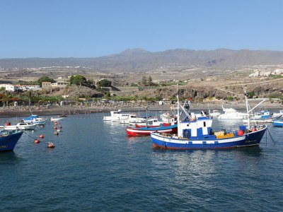 Holiday house Finca Los Dragos in Playa San Juan - Environment photo 28