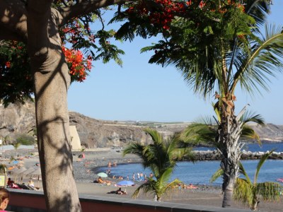 Holiday house Finca Los Dragos in Playa San Juan - Environment photo 29