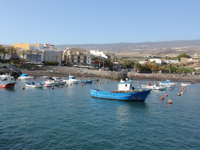 Holiday house Finca Los Dragos in Playa San Juan - Environment photo 30