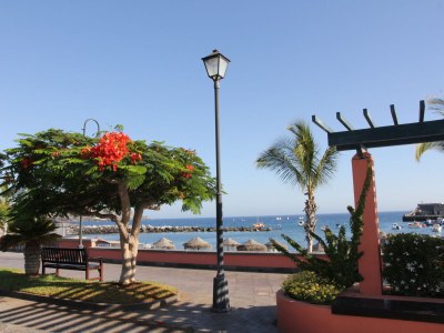 Holiday house Finca Los Dragos in Playa San Juan - Environment photo 32