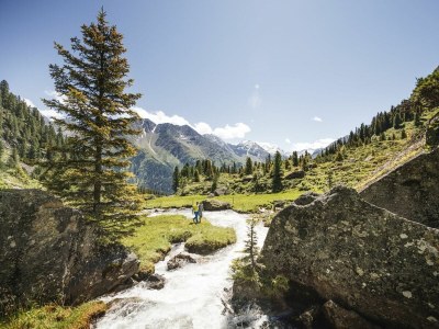 Holiday apartment To the Stubai Glacier - Forest - Environment photo 37