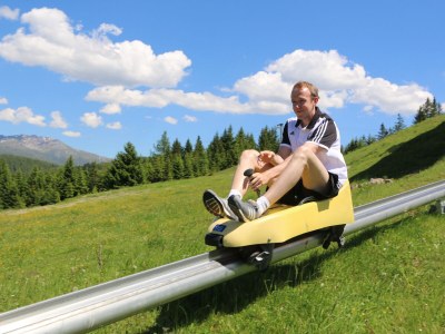 Holiday apartment To the Stubai Glacier - Forest - Environment photo 39