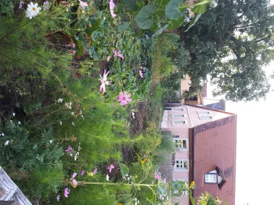 Holiday apartment Haus Sonne - Outdoor photo 8