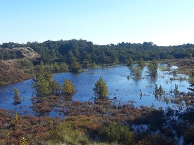 Holiday house Ruhiger Ruckzugsort in Bolilmark-By Traum - Outdoor photo 16