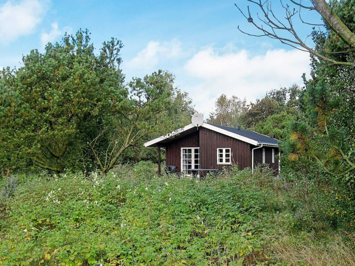 Holiday house Abgeschiedenes Waldrefugium in Gjol-By Traum