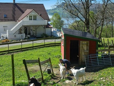 Apartment 6 Personen Ferienhaus in Onarheim - Outdoor photo 13