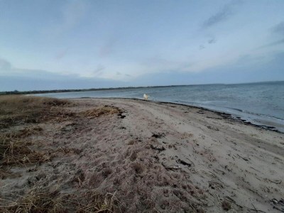 Holiday house 24 person holiday home in Øster Assels - Outdoor photo 17