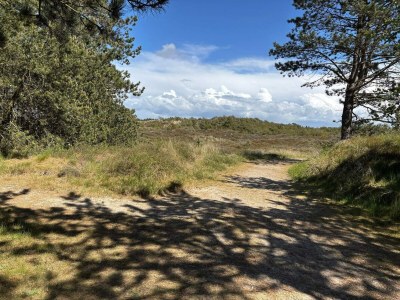 Holiday house 8 person holiday home in Rømø-By Traum - Outdoor photo 27