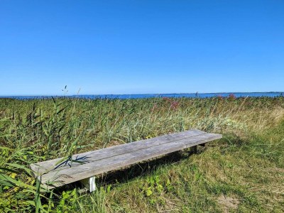 Holiday house 4 person holiday home in Ulfborg-By Traum - Outdoor photo 38