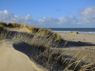 Holiday house Central Domburg Apartment - Environment photo 28