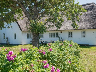 Holiday house 7 Personen Ferienhaus in Bredebro-By Traum - Holiday house