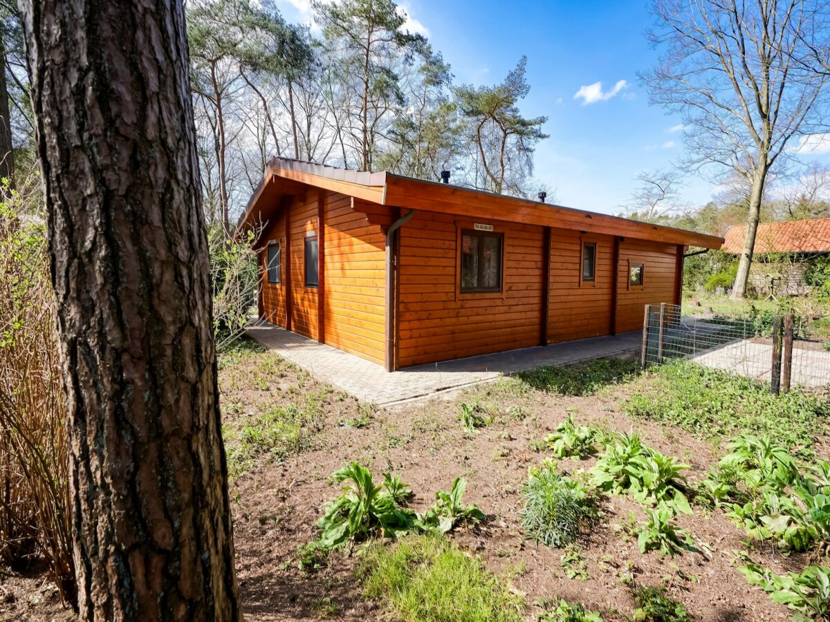 Bungalow Bungalow in Holten nahe Waldwegen - Outdoor photo 4