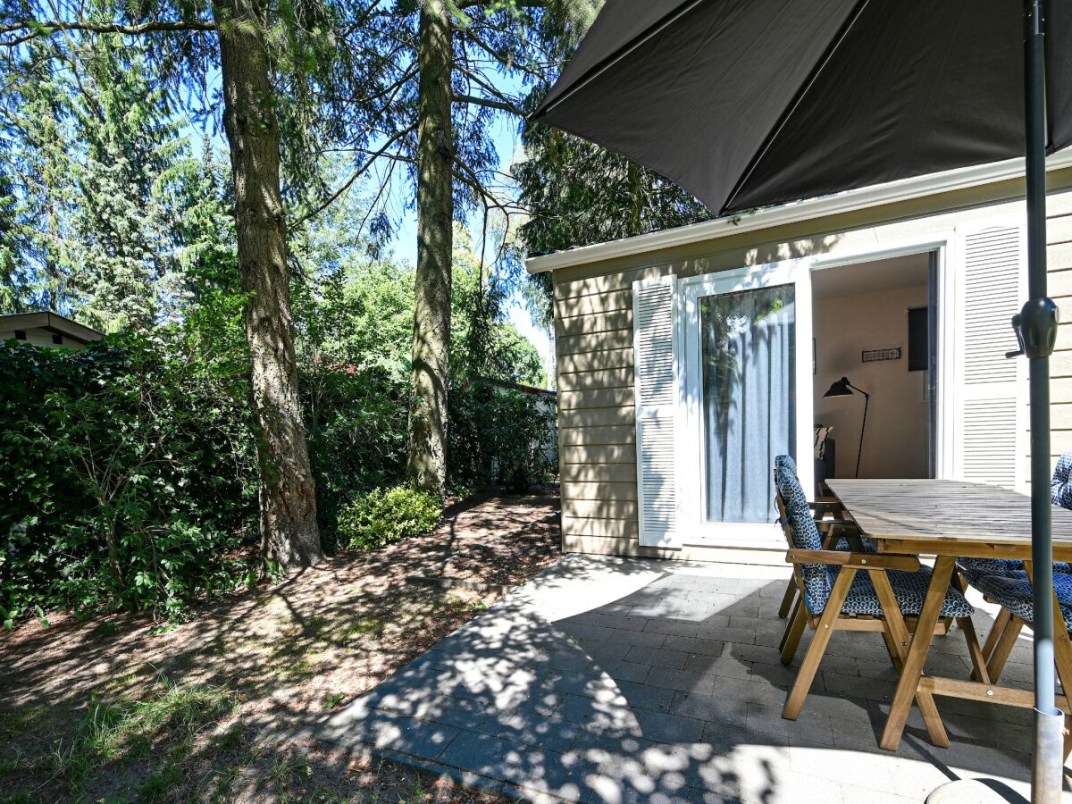 Chalet Modern chalet in Voorthuizen near the forest - Outdoor photo 2
