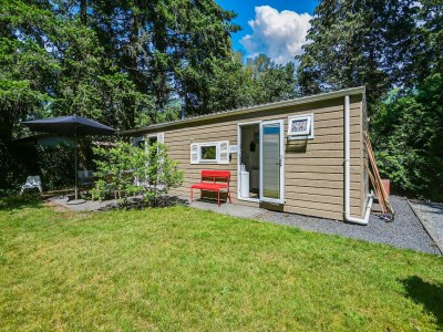 Chalet Modern chalet in Voorthuizen near the forest - Outdoor photo 5
