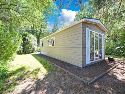 Chalet Modern chalet in Voorthuizen near the forest - Outdoor photo 6